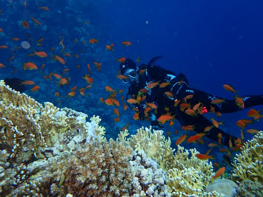 diving
