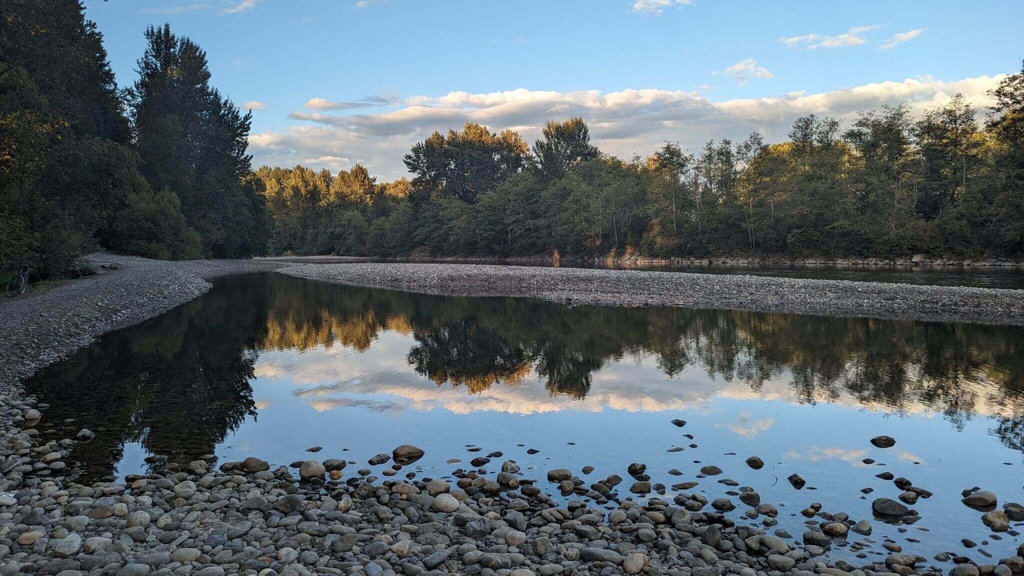 A still creek surrounded by river rock and tall pine trees.