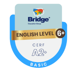 BADGES leves 6+ BADGES leves 6+