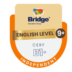 BADGES leves 9+ BADGES leves 9+