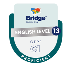 BADGES leves 13 BADGES leves 13