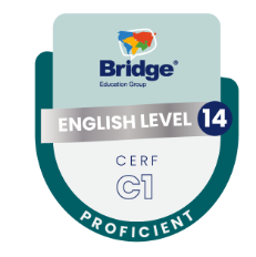 BADGES leves 14 BADGES leves 14