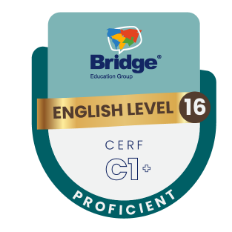 BADGES leves 16 BADGES leves 16